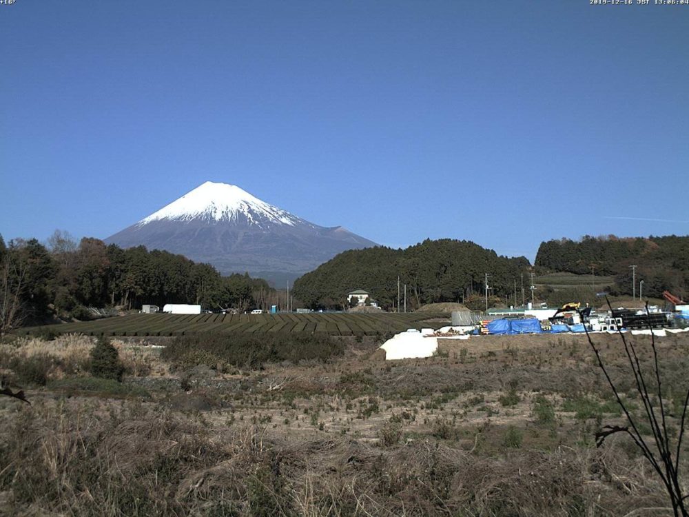 静岡県富士市茶畑から見える富士山ライブカメラ ライブカメラjapan Fujiyama