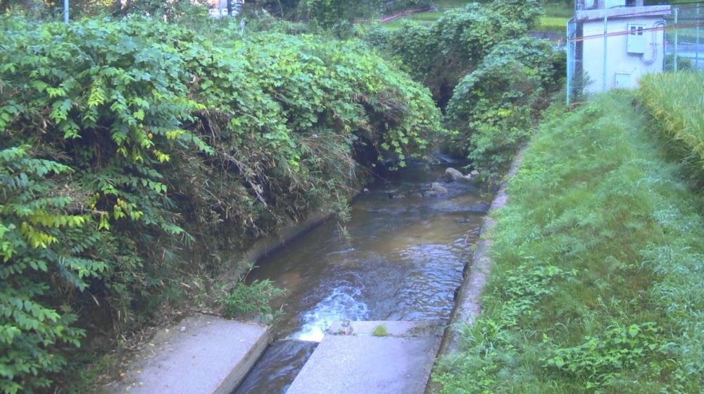 布留川滝本