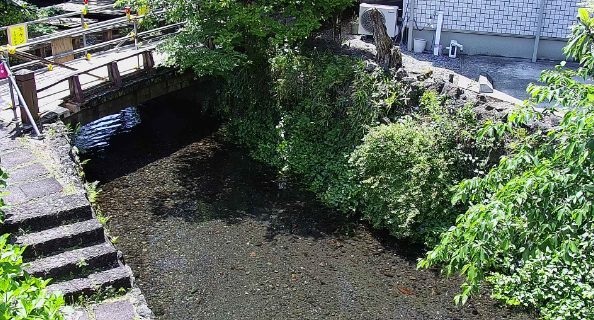 源兵衛川芝橋