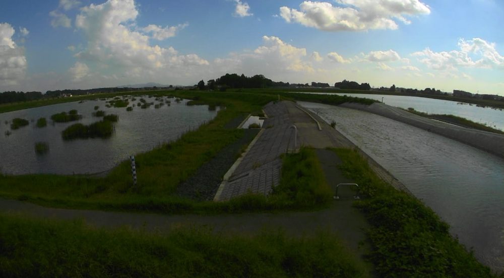 五行川芳賀遊水地