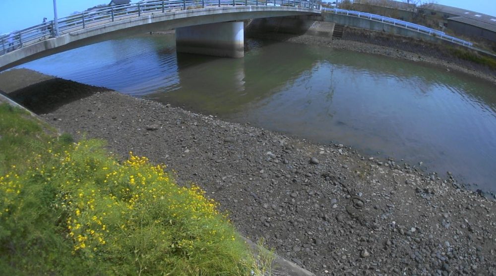 五十石川桜洲橋