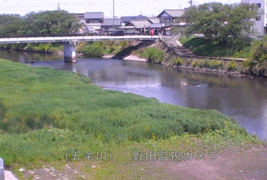 五条川野田