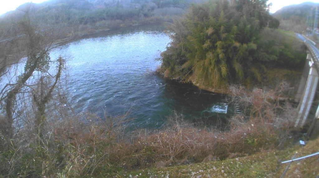 江の川47.8K左岸