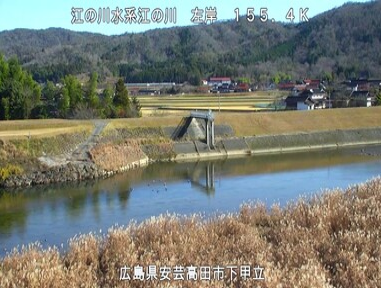 江の川左岸155.4K