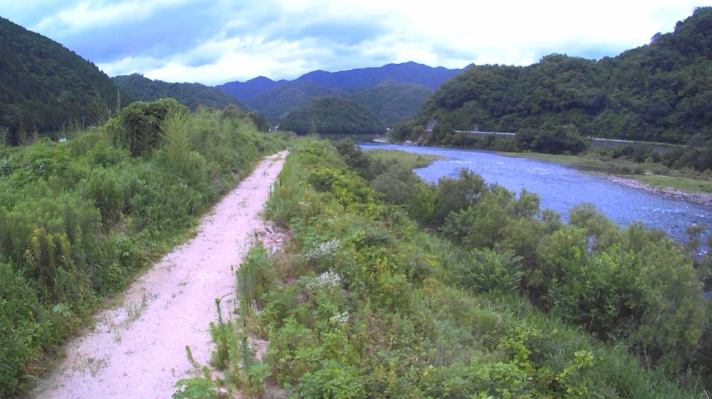 江の川68.8K左岸