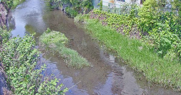 御殿川藤代橋