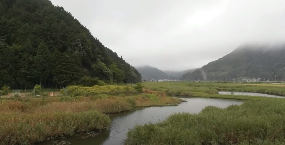 ハチゴロウの戸島湿地