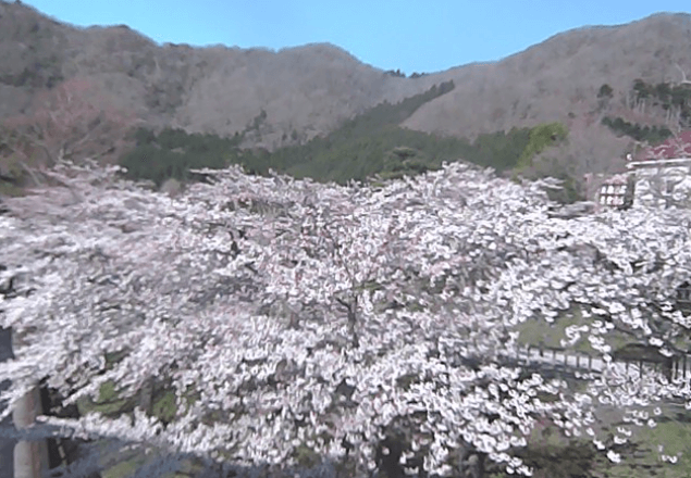 函館公園