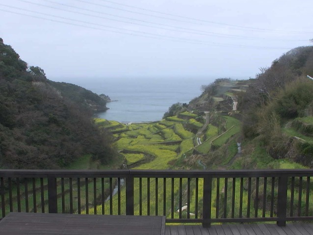 浜野浦の棚田