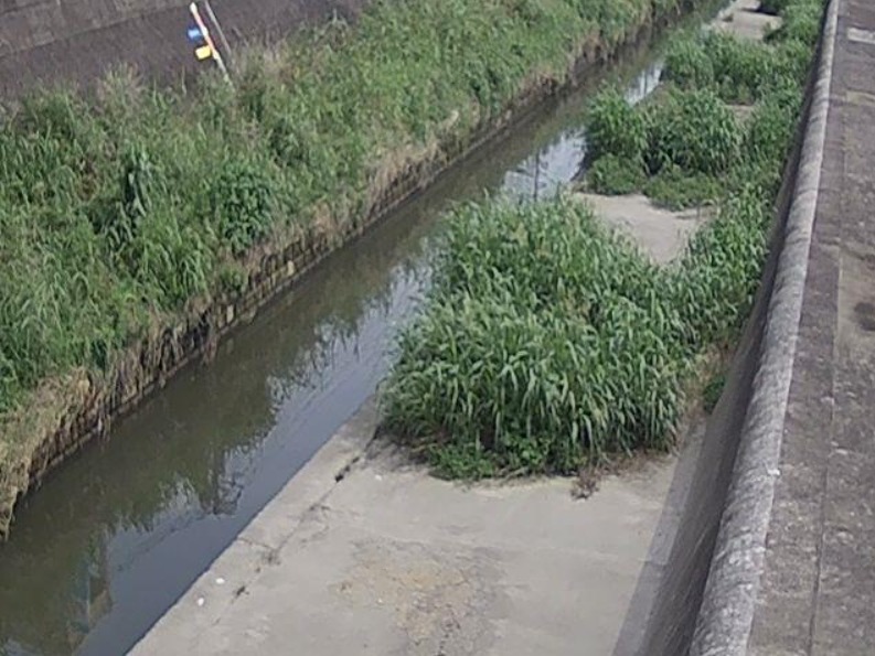 恩智川花園遊水地