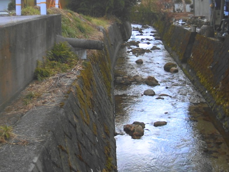 早木戸川新野本町