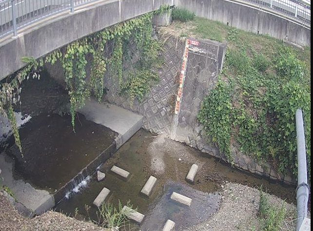 東檜尾川檜尾川上流