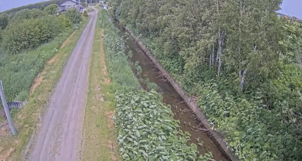 東幹川国道244号付近