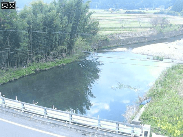 東又川東又