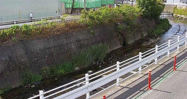 東除川古川橋