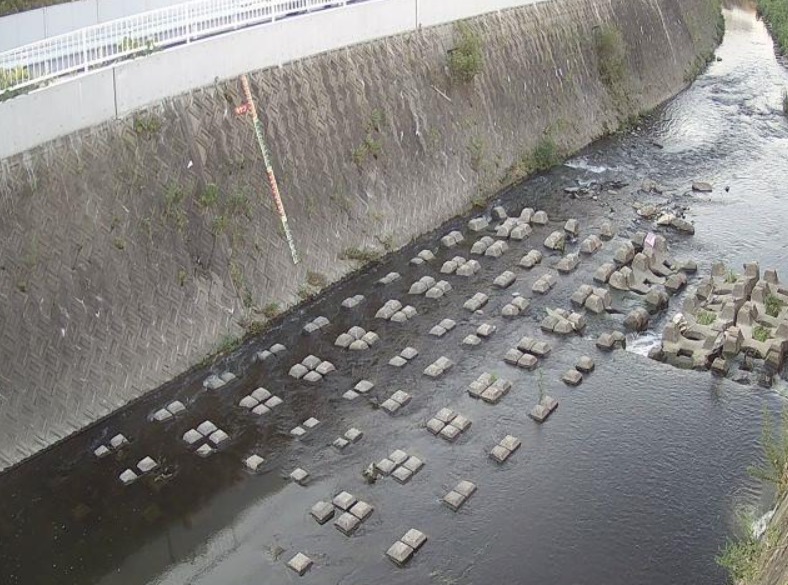 東除川観音橋