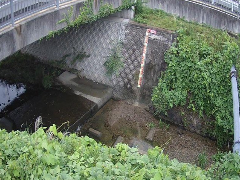 檜尾川弥生橋