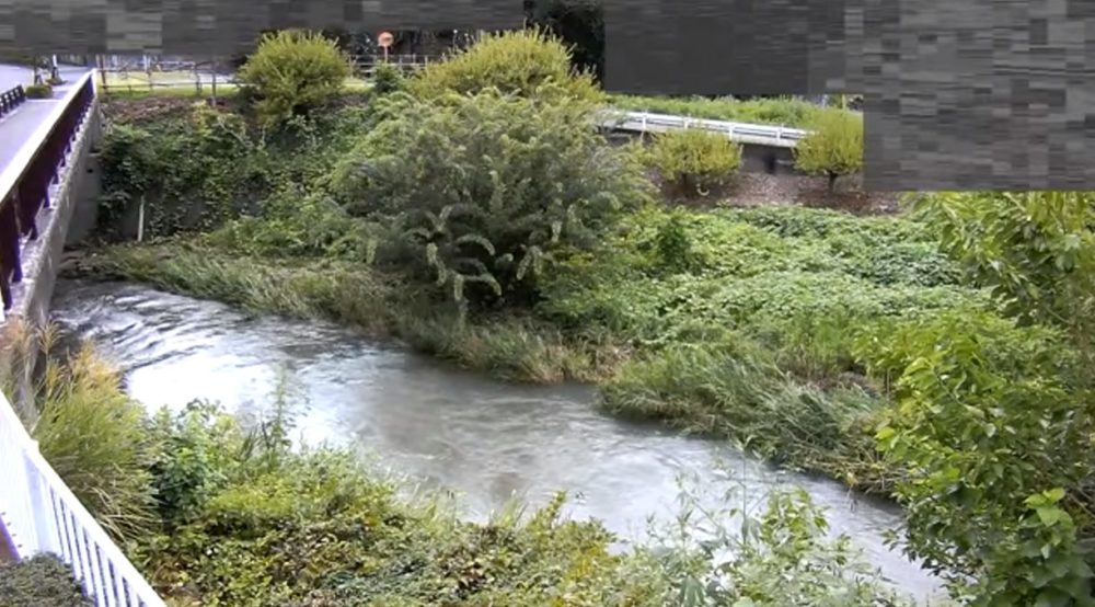 平井川鹿の湯橋