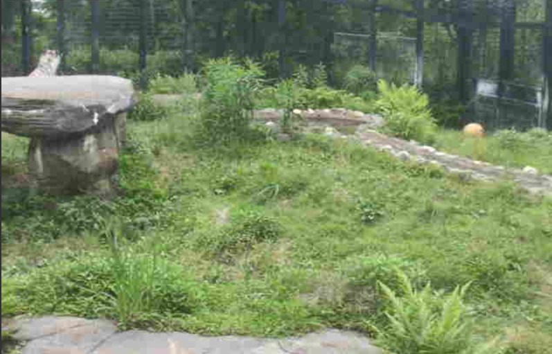 平川動物公園