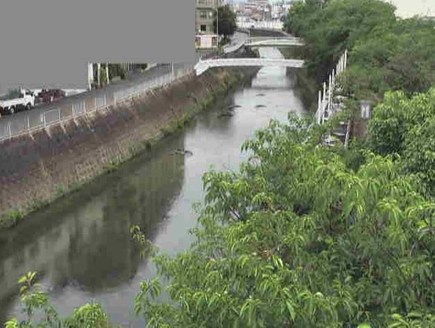 平野川鳥居先