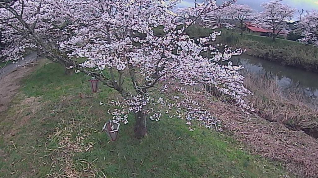 法勝寺川城山