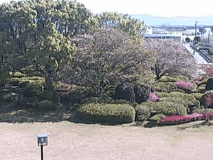 百年公園