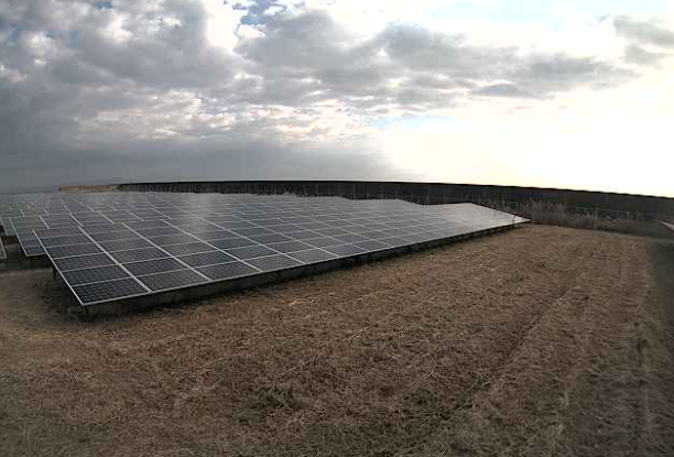 いちご徳島東沖洲ECO発電所