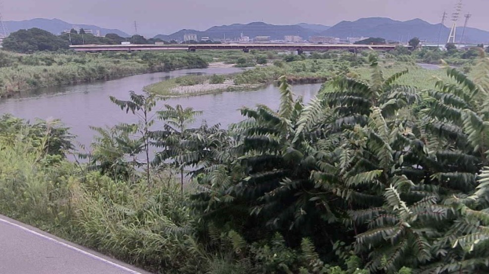 市川植木局