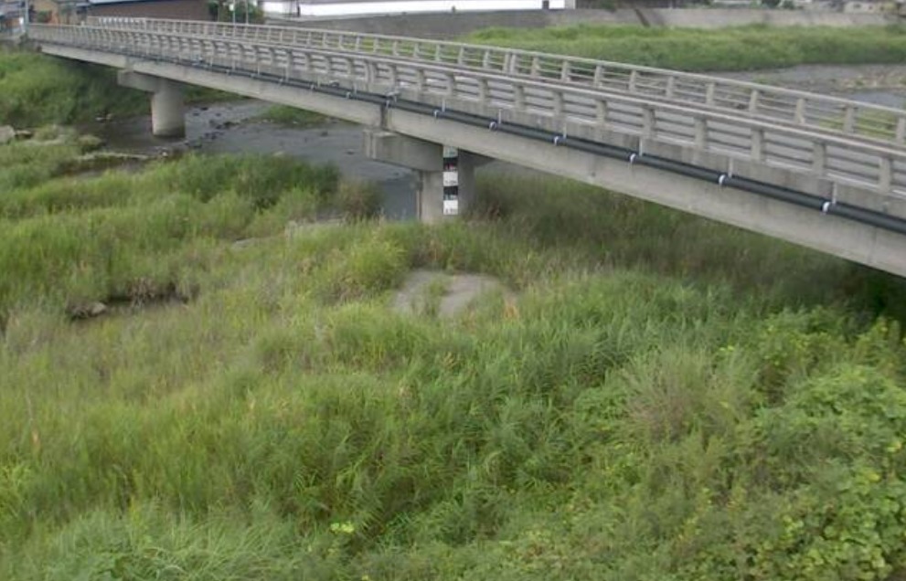 市川寺野局