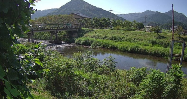 稲葉川伊府局