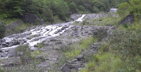 稲荷川稲荷橋上流