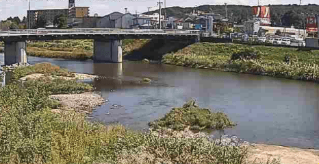 入間川野田