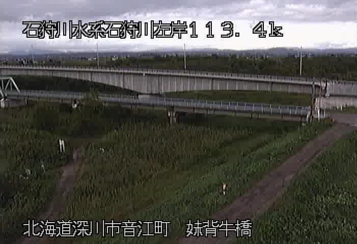 石狩川左岸113.4K妹背牛橋