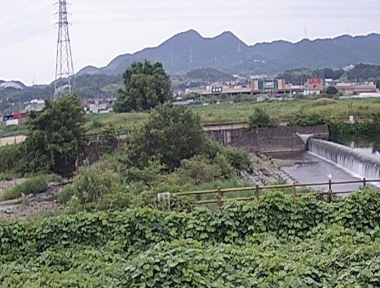 石川河南橋