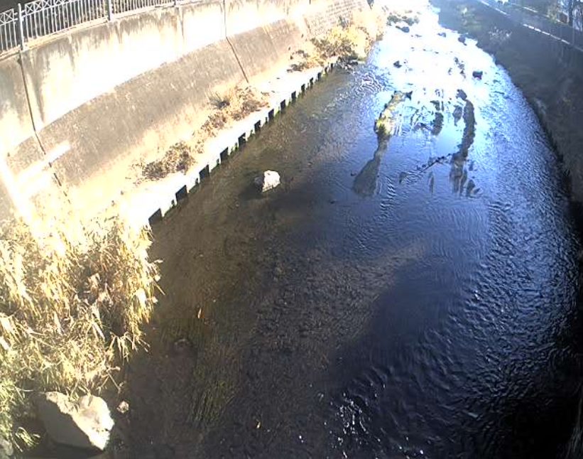 いたち川水神橋