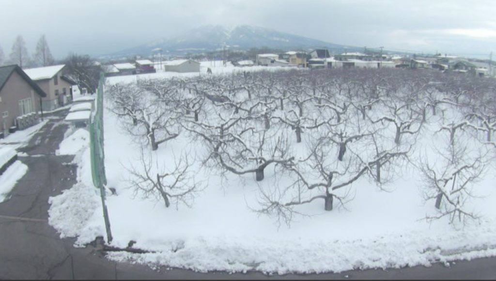 板柳町ふるさとセンター