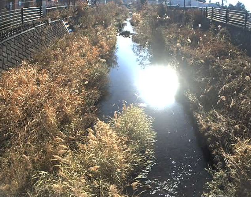 和泉川四ツ谷橋