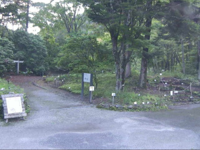 上三依水生植物園