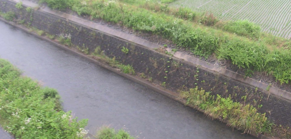 加茂川加茂川町