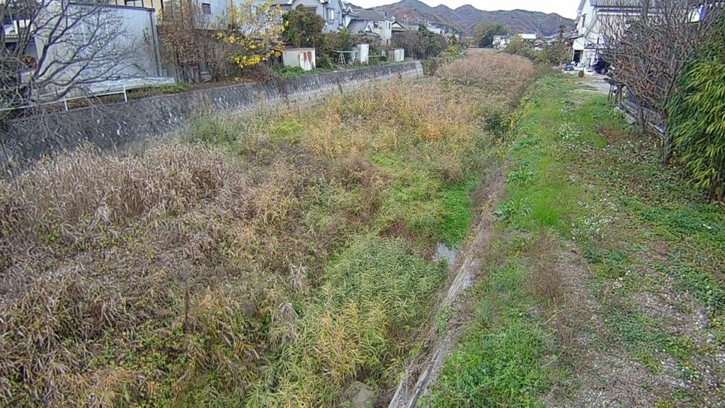 加茂川下加茂