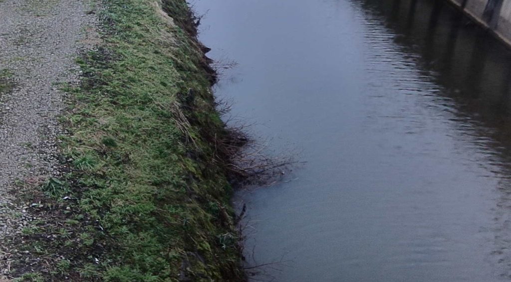 加茂田川勘の前橋