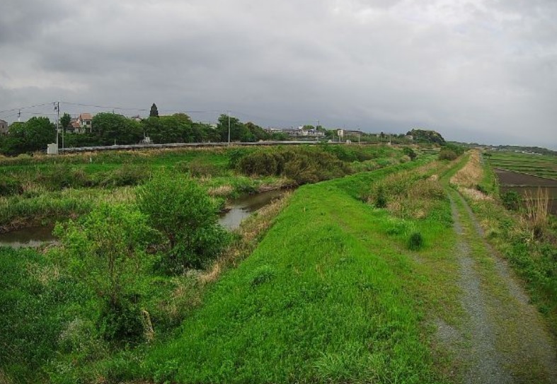 神田川左岸6.2K