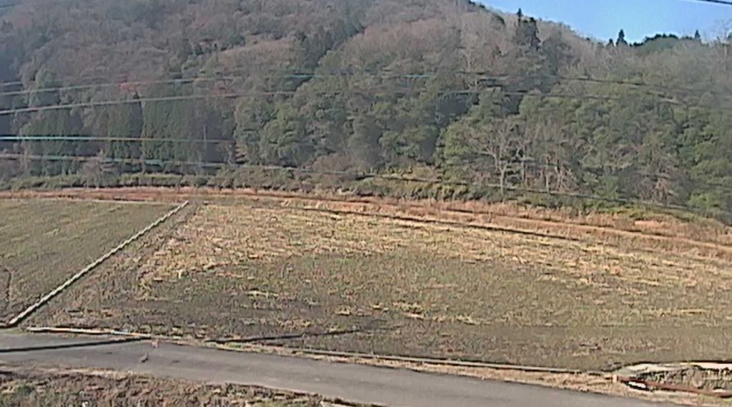 神野瀬川左岸5.0K