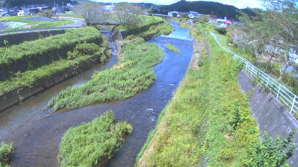 神井川激特橋