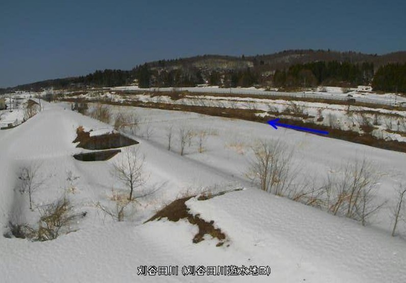 刈谷田川遊水地B