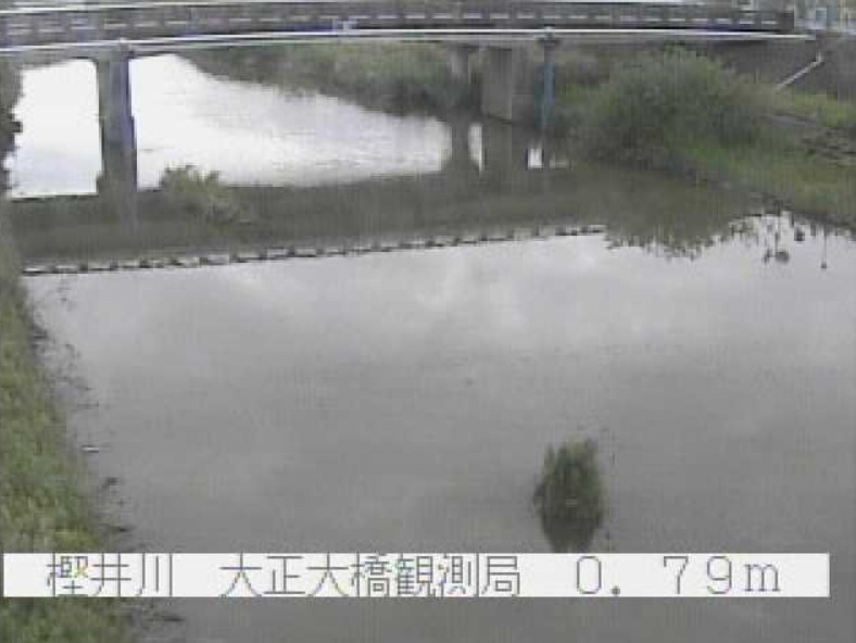 樫井川大正大橋