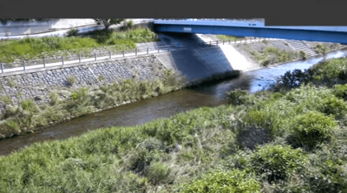 大栗川霞ケ関橋