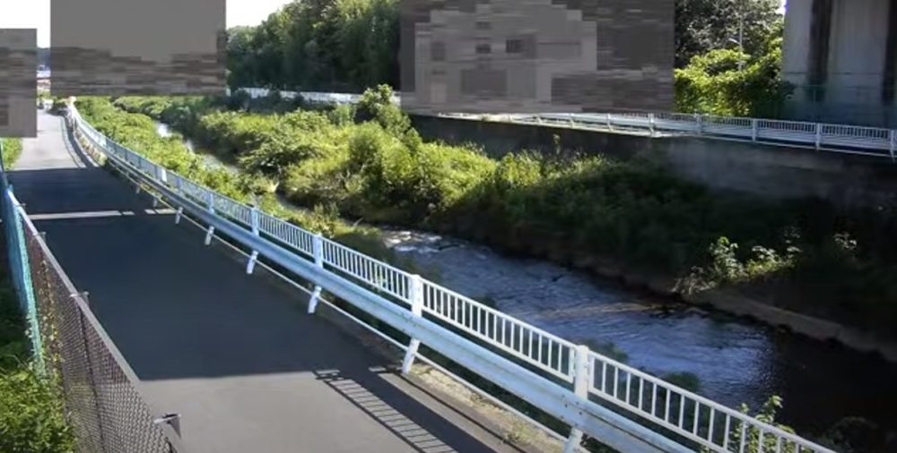 川口川清水橋