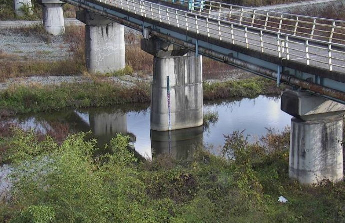 川田川中央橋