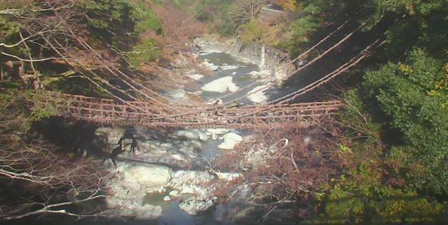 祖谷のかずら橋